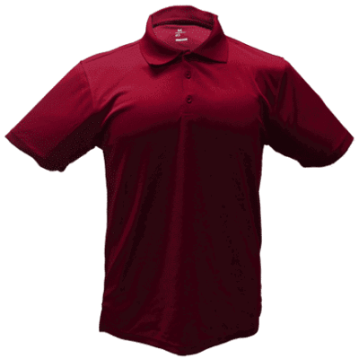 Dry Honeycomb Dri-Fit Polo T-Shirt thumbnail 2018