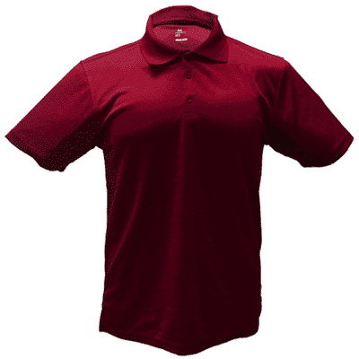 Dry Honeycomb Dri-Fit Polo T-Shirt thumbnail 2018