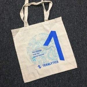 Teralytics Pte Ltd (1)