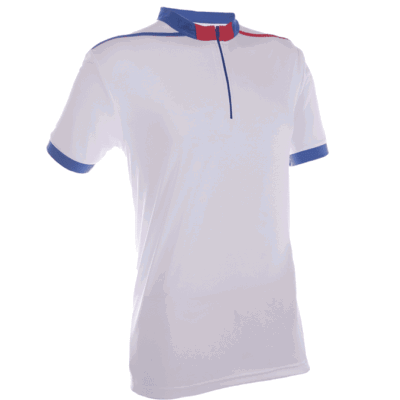 QD41 Multi-Tone Mandarin Collar Polo T-Shirts 2018-19 thumbnail white