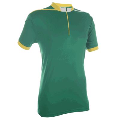 QD41 Multi-Tone Mandarin Collar Polo T-Shirts 2018-19 thumbnail green