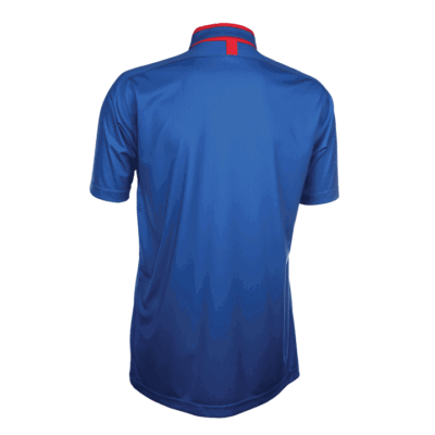 QD37 Multi-Tone Dri-Fit Polo T-Shirts 2018-19 thumbnail royal red back