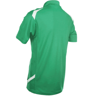 QD34 Multi-Tone Dri-Fit Polo T-Shirts 2018-19 thumbnail green back