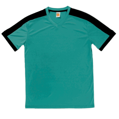 QD52 Multi-Tone Dri-Fit V-Neck T-Shirts 2018-19 thumbnail emerald front