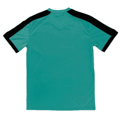 QD52 Multi-Tone Dri-Fit V-Neck T-Shirts 2018-19 thumbnail emerald back