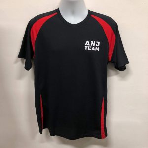 ANJ Builders Pte Ltd (1)