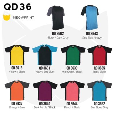 QD36 Raglan Dri-Fit T-Shirts 2021 catalogue