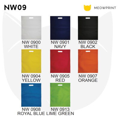 Flat Non-Woven Bag NW09 23-24 catalogue