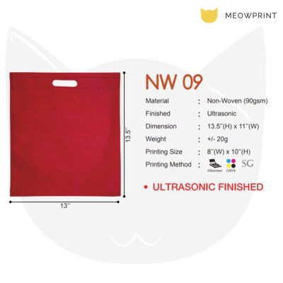 Flat Non-Woven Bag NW09 23-24 size