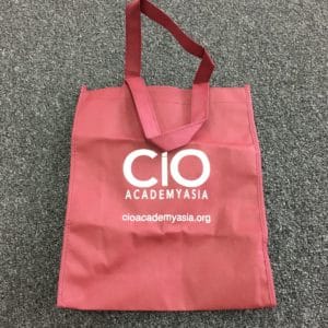 CIO Academy Asia (2)