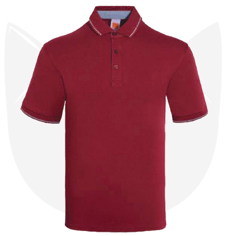 CI13 Multi-Tone Cotton Polo T-Shirts 2021 thumbnail