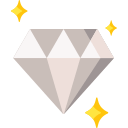 premium icon