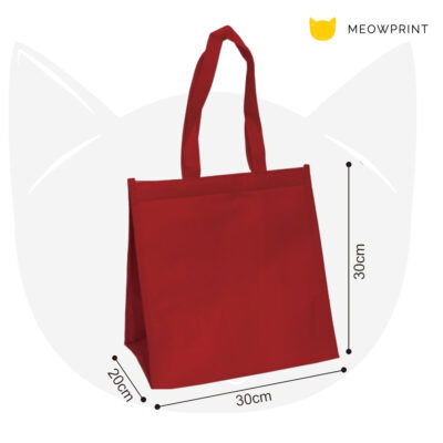 MB60 Multi-Purpose Cooler Warmer Tote Bag 24-25 size