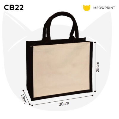 CB22-23 Laminated Canvas Bag 24-25 cb22 size