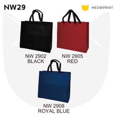NW29 A3 Multi-Tone Non-Woven Bag (Ultrasonic) 24-25 catalogue