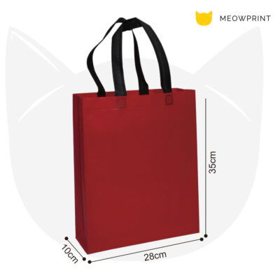 NW28 A4+ Multi-Tone Non-Woven Bag (Ultrasonic) 24-25 size