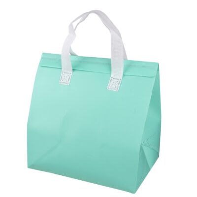 Non-Woven Aluminium Foil Cooler Bag BC3628 (4)