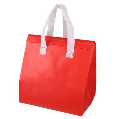 Non-Woven Aluminium Foil Cooler Bag BC3628 (6)